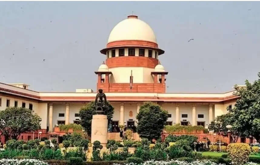 Top court rejects plea against High Court's 'grabbing breasts isn't rape' ruling
